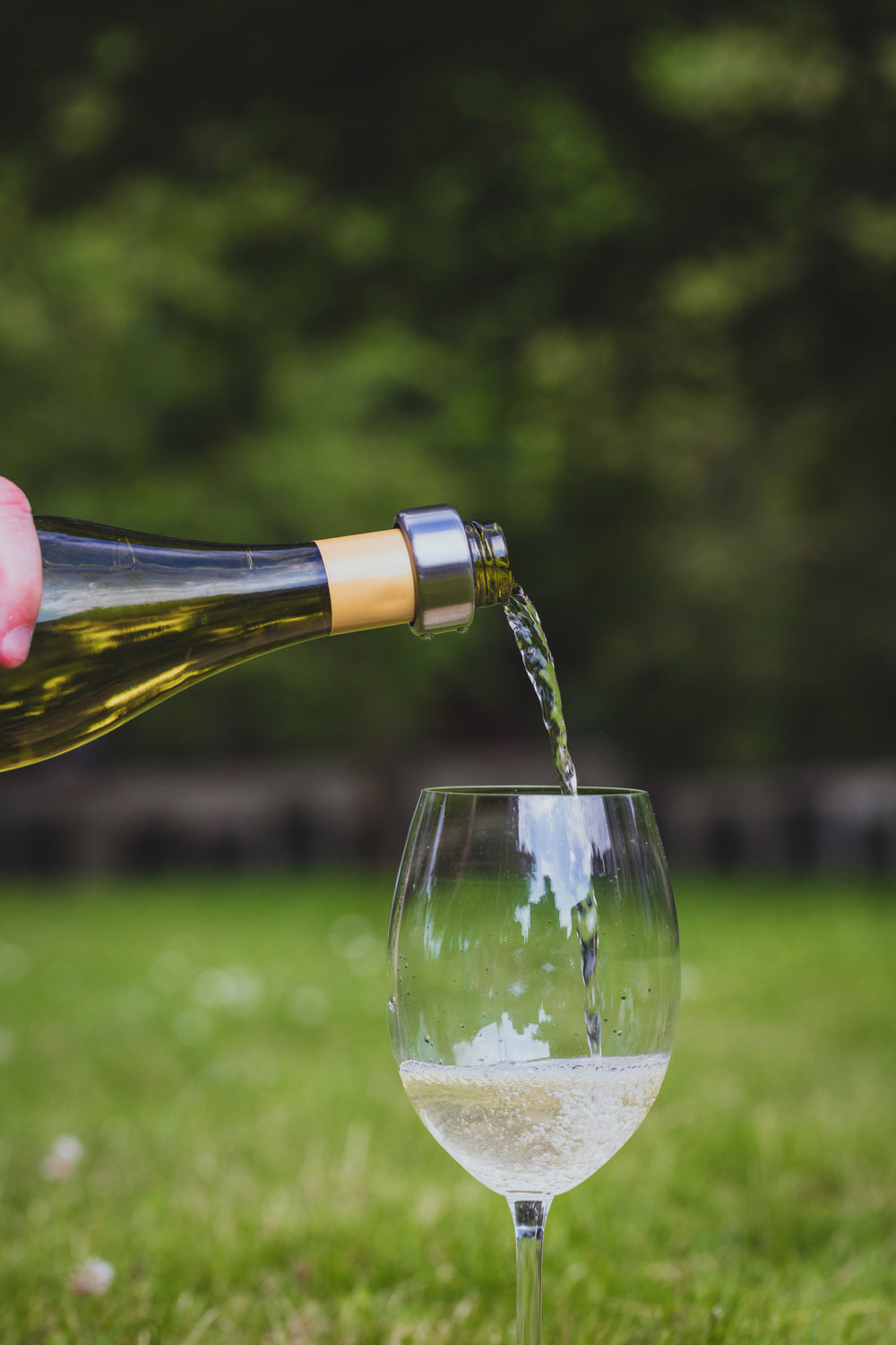 BarCraft Stainless Steel Wine Drip Collar