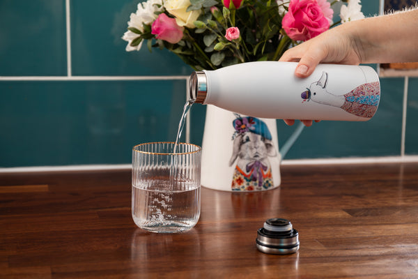 Mikasa Tipperleyhill Duck Stainless Steel Water Bottle, 500 ML image 6