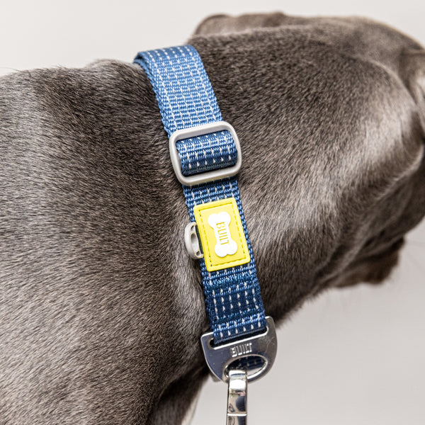BUILT PET Large Night Safe Reflective Collar - Blue image 12