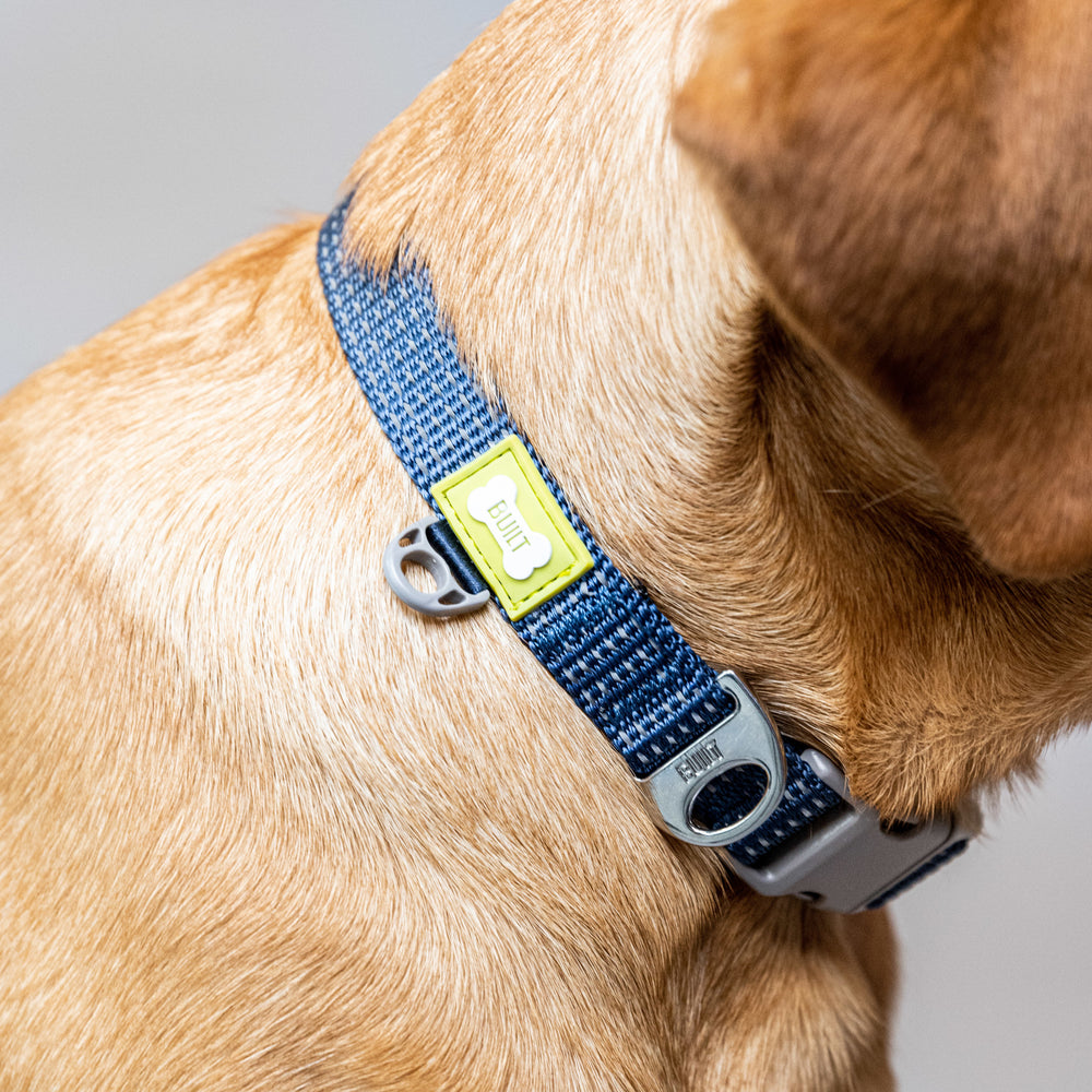 BUILT PET Medium Night Safe Reflective Collar And Lead Set - Blue