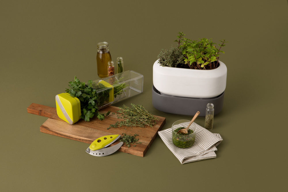 Chef'n HerbFresh Fresh Herb Storage