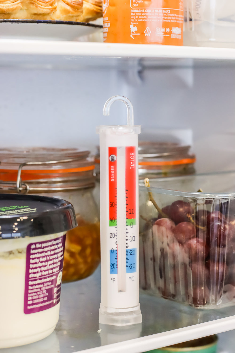 Taylor Glycol Fridge and Freezer Thermometer, Blister Packed