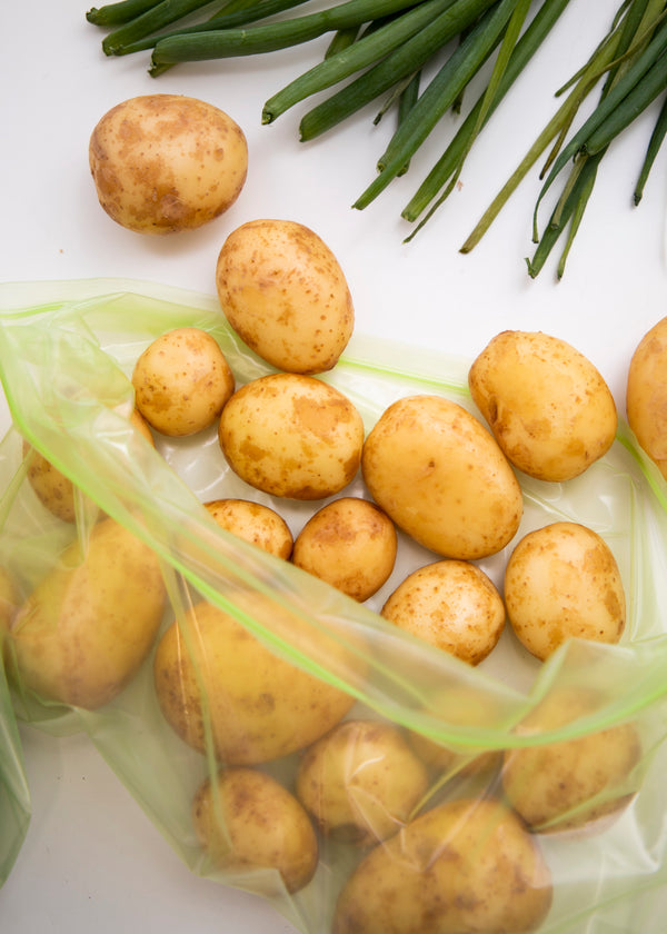 MasterClass Zipped Fresh Bag - Medium, Set of 20 image 6