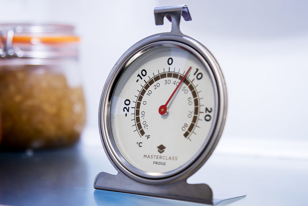 MasterClass Large Stainless Steel Fridge and Freezer Thermometer