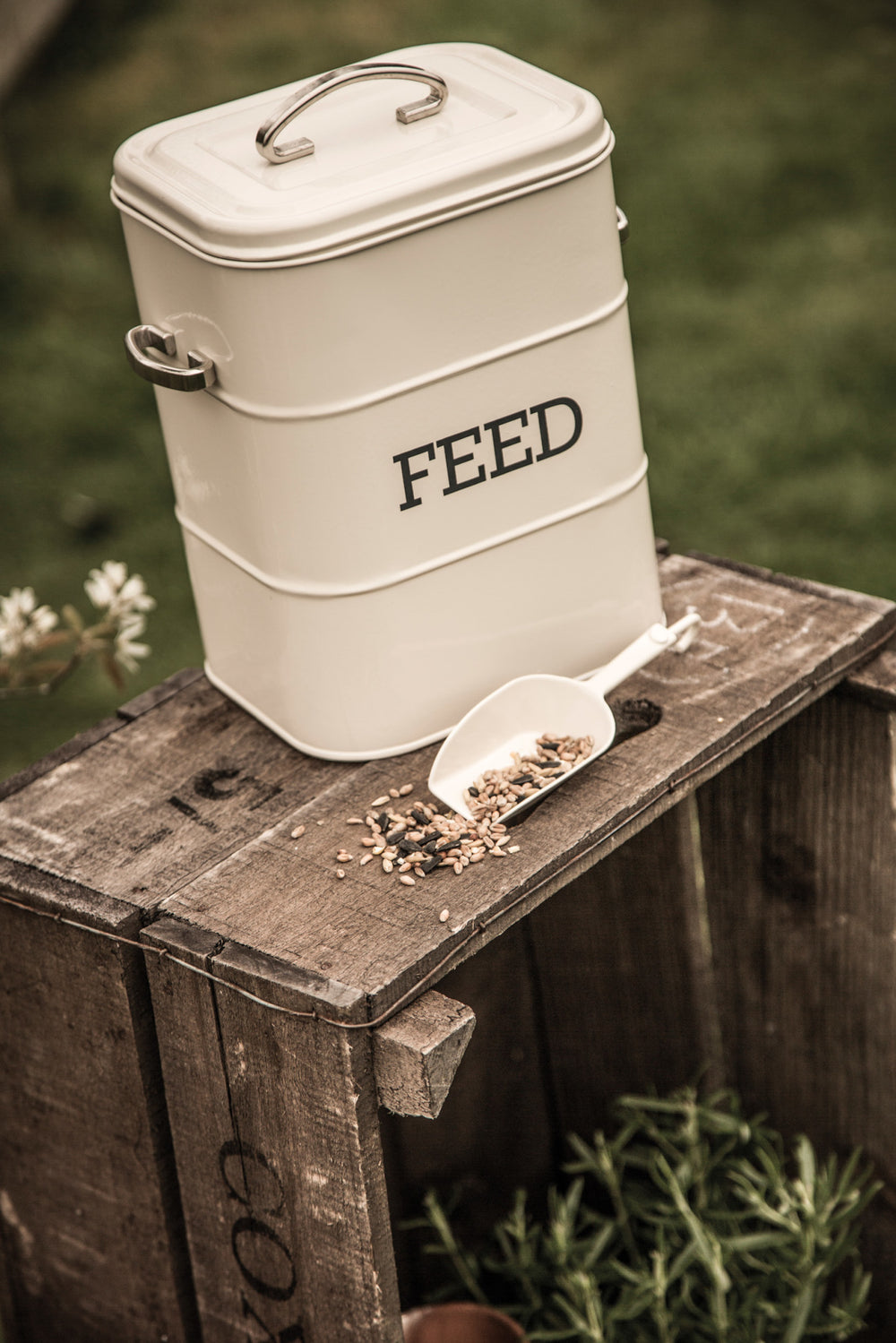 Living Nostalgia Antique Cream Feed Tin with Metal Scoop