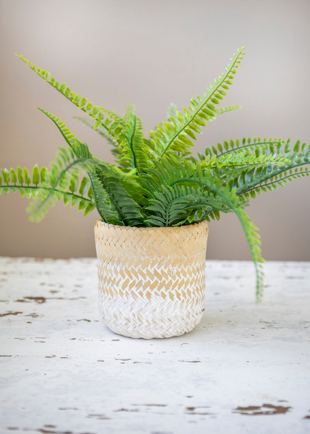 KitchenCraft Bamboo Planter, White Ombré Design