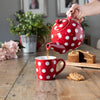London Pottery Globe 6 Cup Teapot Red With White Spots image 7