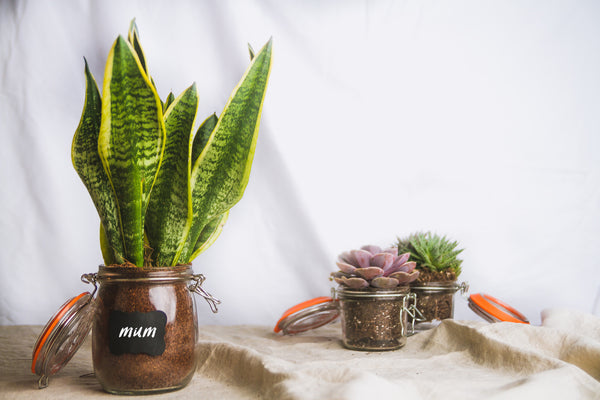 Home Made Glass 750ml Preserving Jar image 5