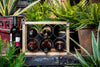 Industrial Kitchen Vintage-Style 6-Bottle Metal / Wooden Wine Rack image 7