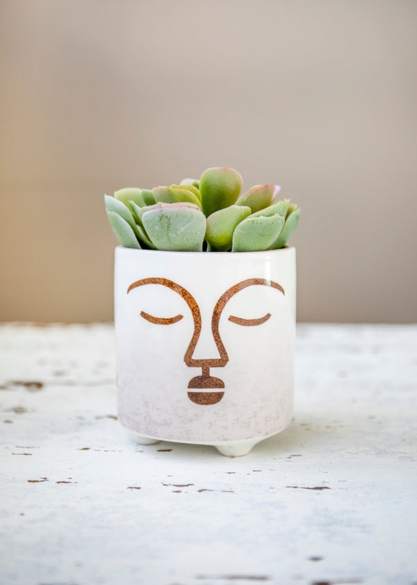 KitchenCraft Abstract Face Planter, Dolomite, White / Brown image 2