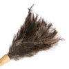 Living Nostalgia Genuine Ostrich Feather Duster with Telescopic Handle image 3