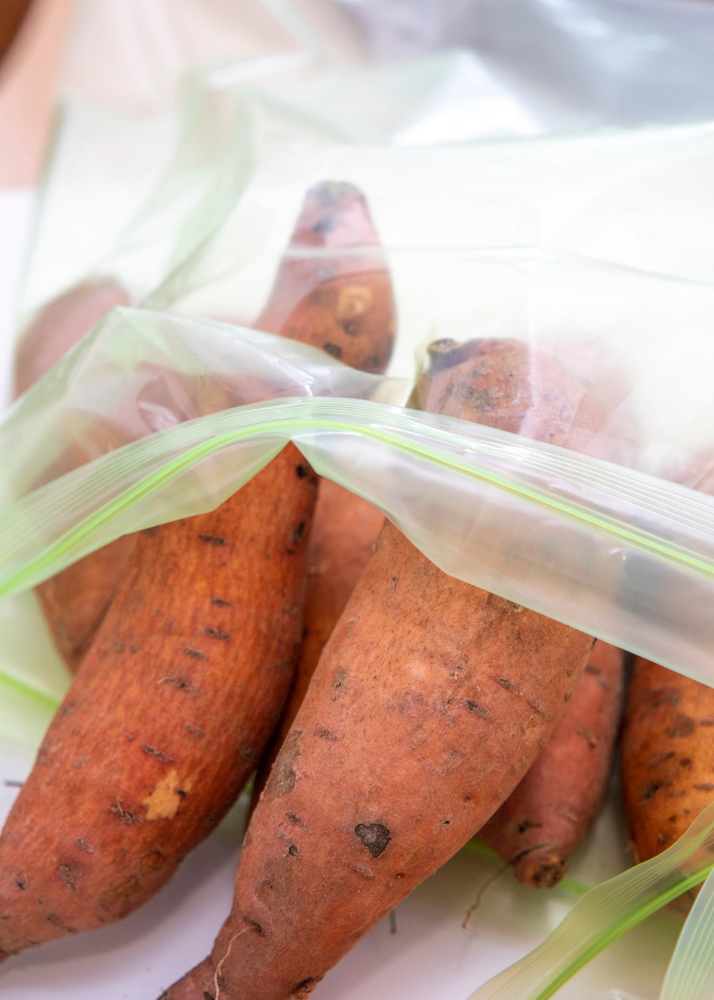 MasterClass Zipped Fresh Bag - Large, Set of 20