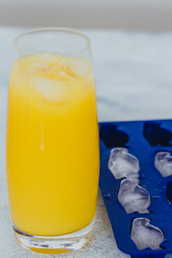 BarCraft Flexible Penguin Shape Ice Cube Tray image 6