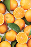 Chef'n ZeelPeel™ Orange Peeler image 5