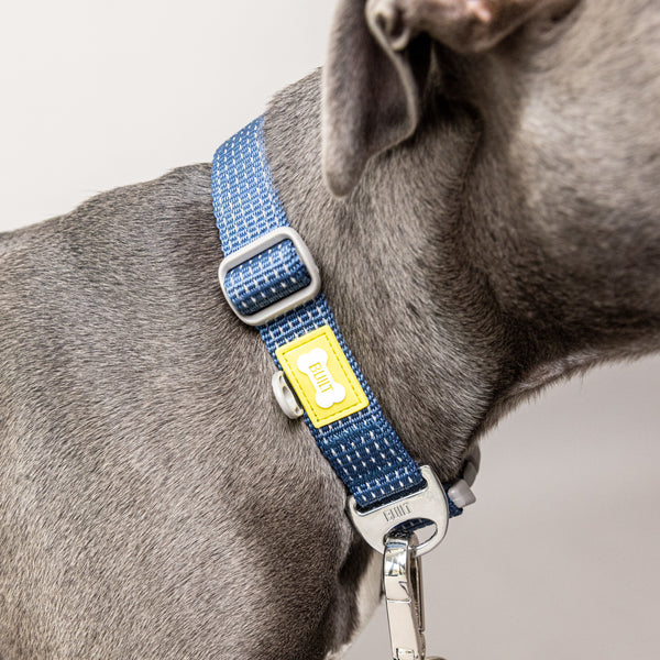 BUILT PET Large Night Safe Reflective Collar - Blue image 6