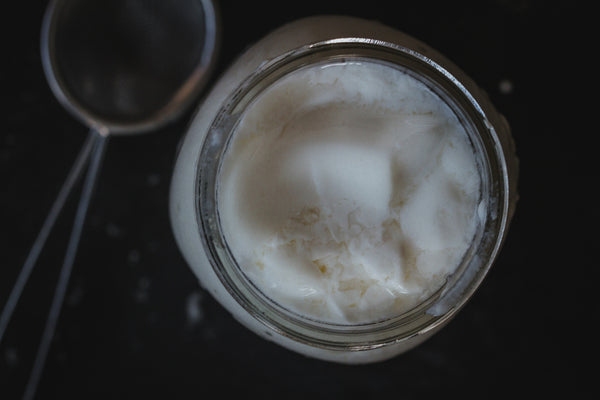 Home Made Kefir Making Kit image 6