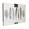 Creative Tops Feathers Pack Of 4 Large Premium Placemats image 3