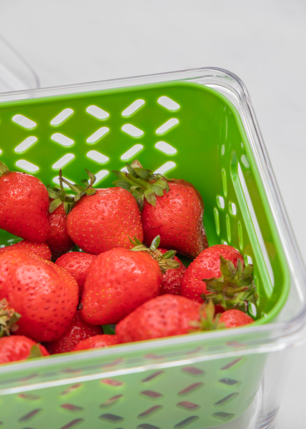 MasterClass Fresh Keeper - 1.6L