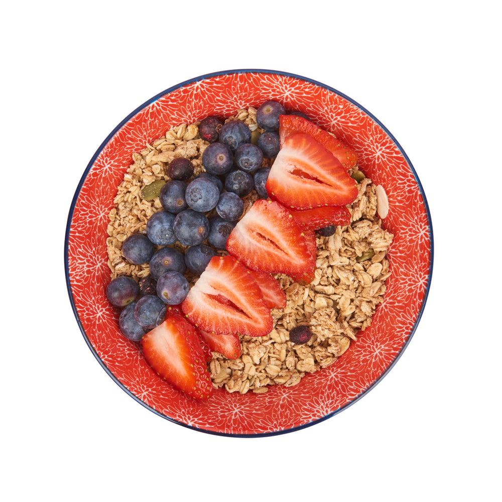 Set of 4 KitchenCraft Red Floral and Blue Edge Ceramic Bowls