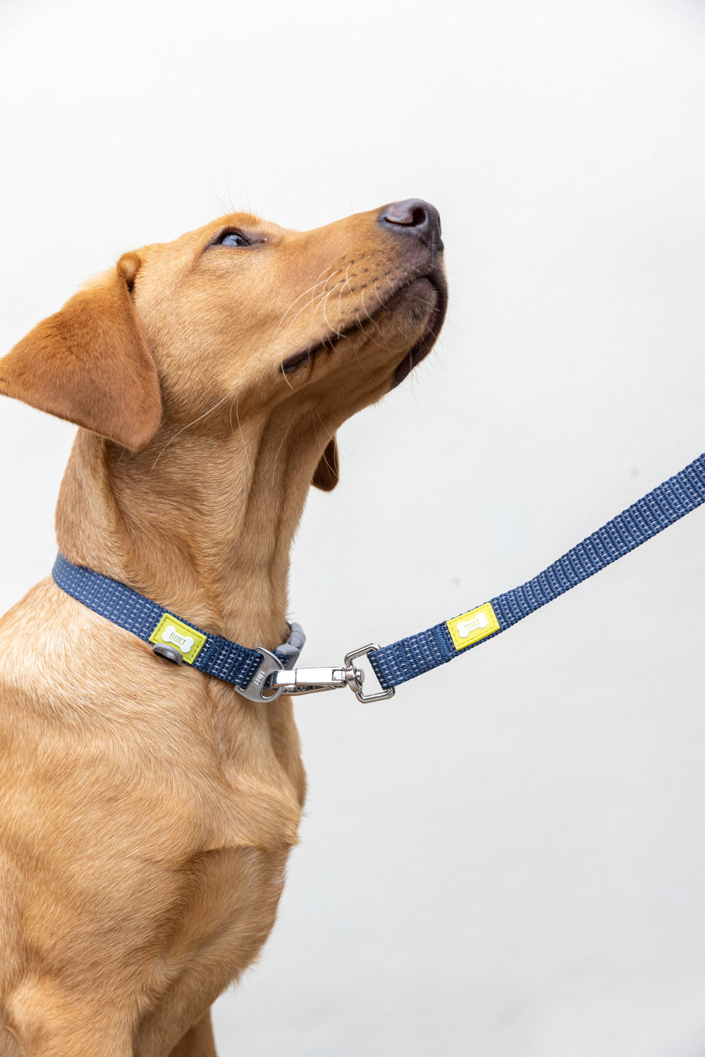 BUILT PET Medium Double Handle Night Safe Reflective Lead - Blue