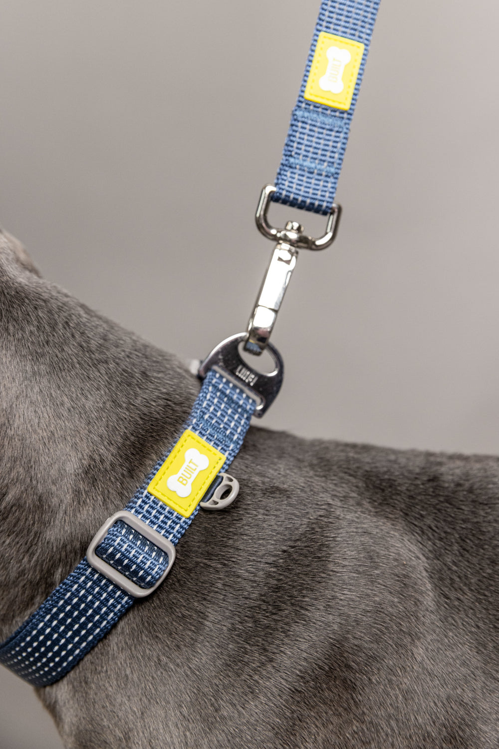 BUILT PET Large Double Handle Night Safe Reflective Lead - Blue