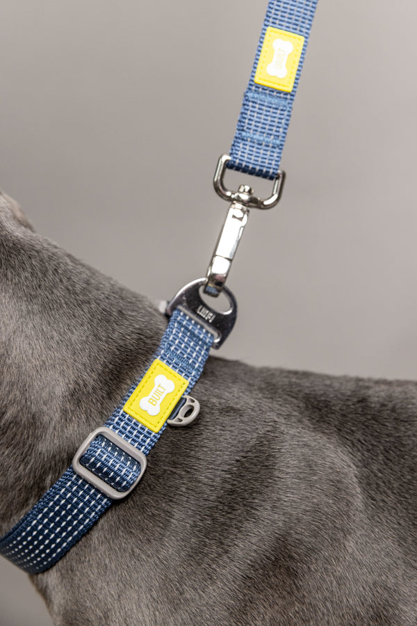 BUILT PET Large Double Handle Night Safe Reflective Lead - Blue image 7