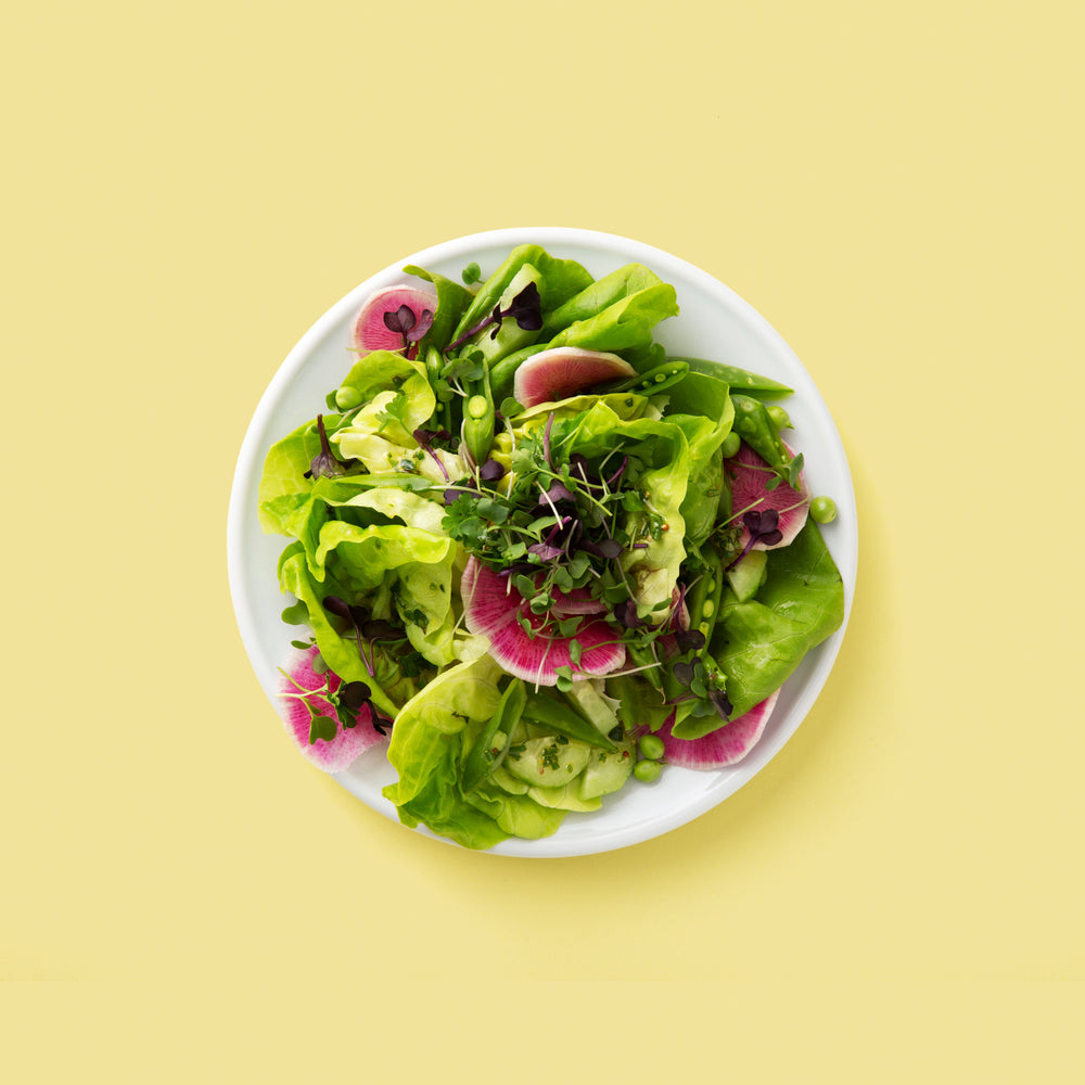 Chef'n Countertop Sprouter™ Growing Kit