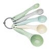 Colourworks Classics Five Piece Measuring Spoon Set image 1
