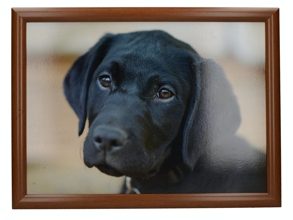 Creative Tops Labrador Laptray image 1