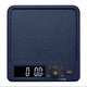 Taylor Pro Antibacterial Digital Dual 5kg Kitchen Scale