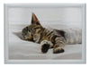 Creative Tops Sleeping Kitten Laptray image 1