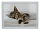 Creative Tops Sleeping Kitten Laptray