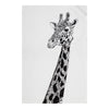 Maxwell & Williams Marini Ferlazzo Giraffe Tea Towel image 1